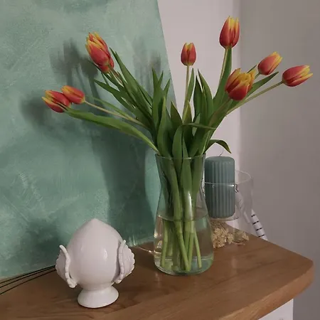 Il Sogno Di Mariolina Petrignano