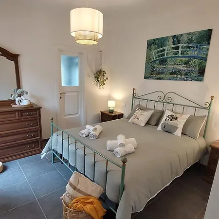 Il Sogno Di Mariolina Petrignano