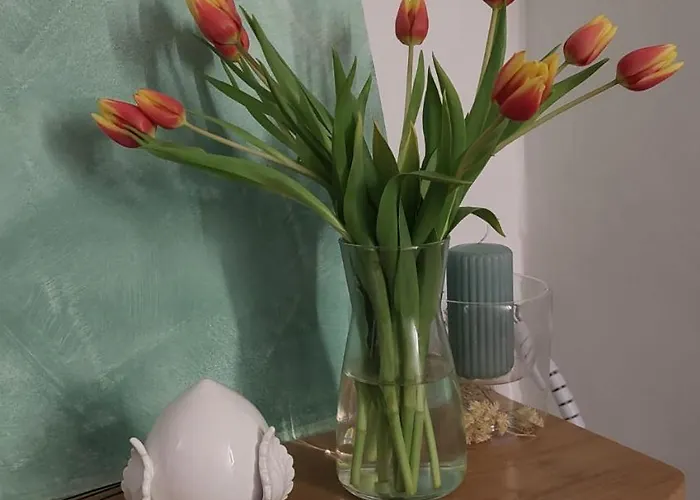 Il Sogno Di Mariolina Petrignano